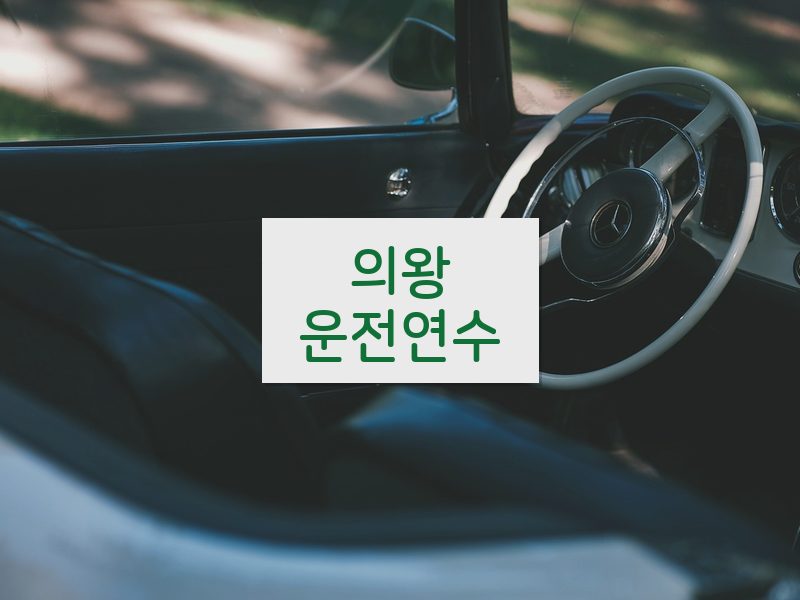 의왕운전연수 후기