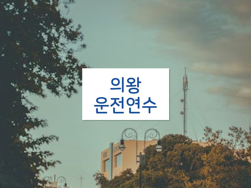 의왕운전연수 후기
