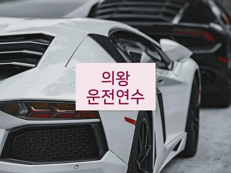 의왕운전연수 후기