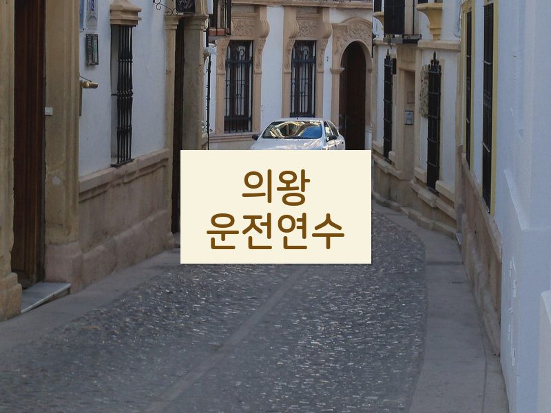 의왕운전연수 후기