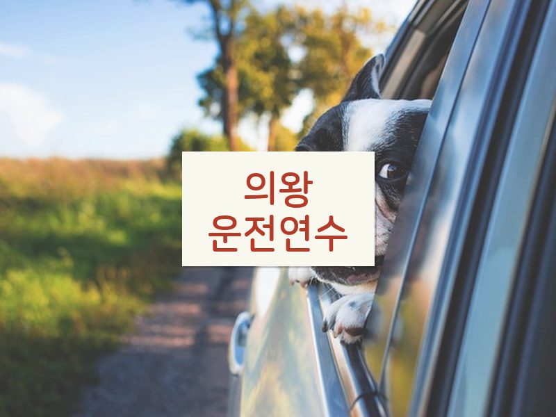 의왕운전연수 후기