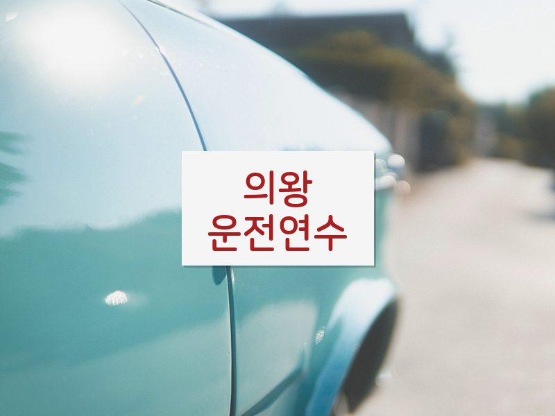 의왕운전연수 후기
