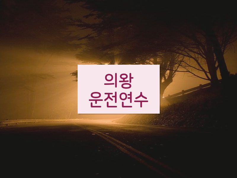 의왕운전연수 후기