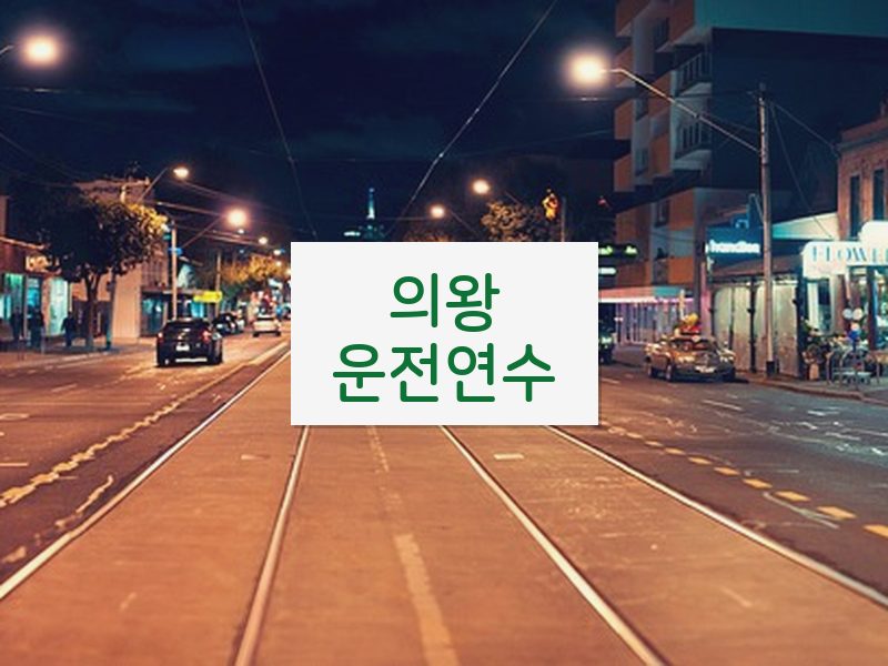 의왕운전연수 후기