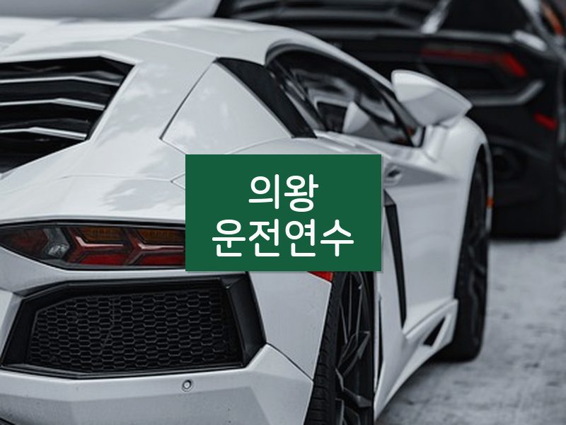 의왕운전연수 후기