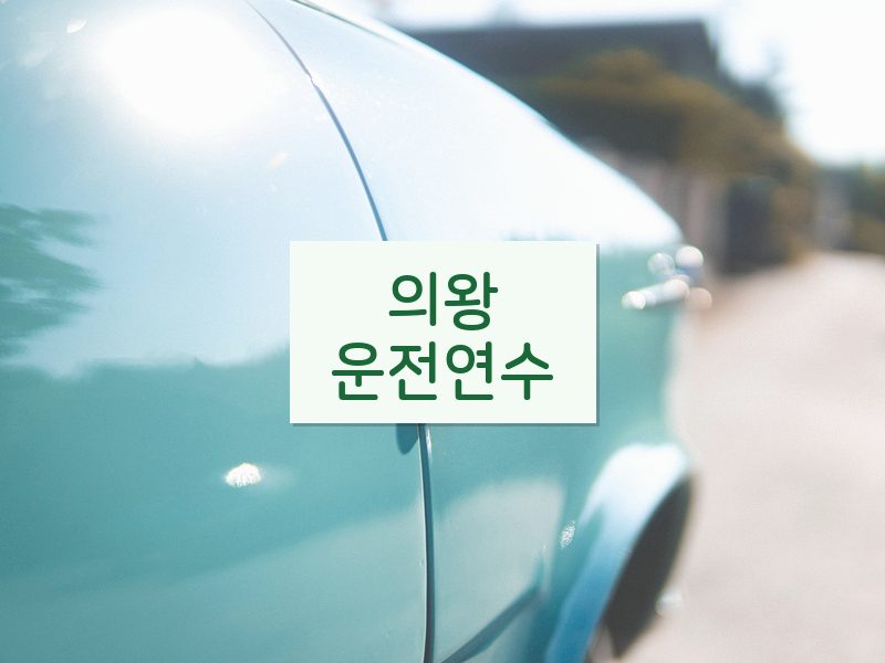 의왕운전연수 후기