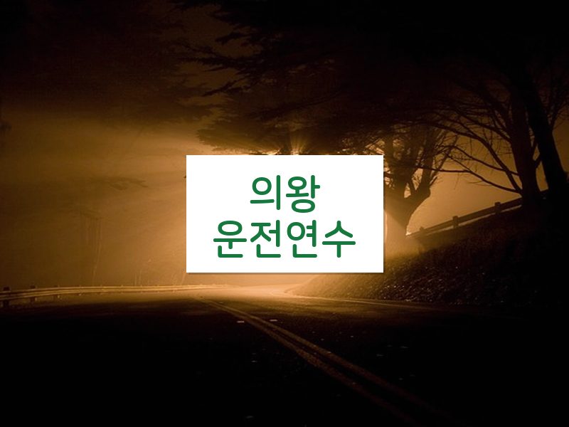 의왕운전연수 후기