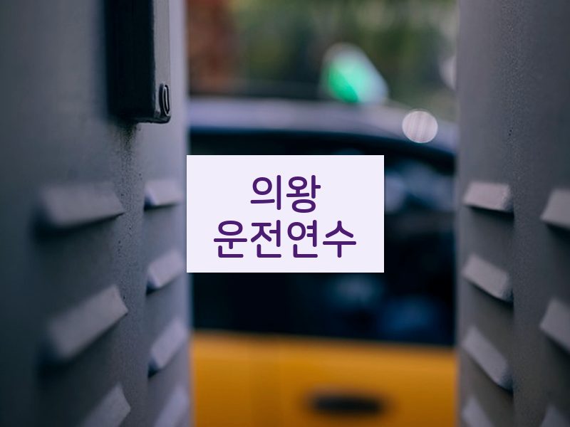 의왕운전연수 후기