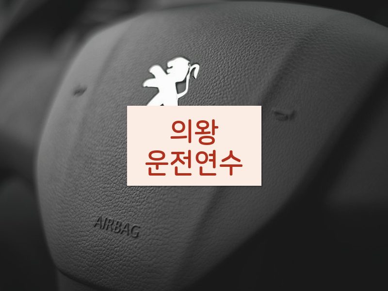 의왕운전연수 후기