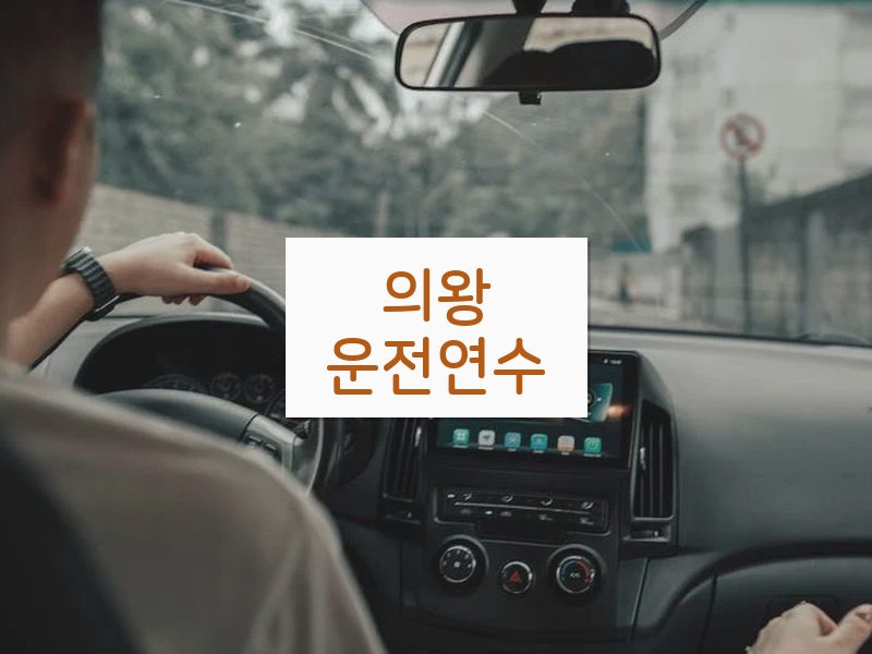 의왕운전연수 후기
