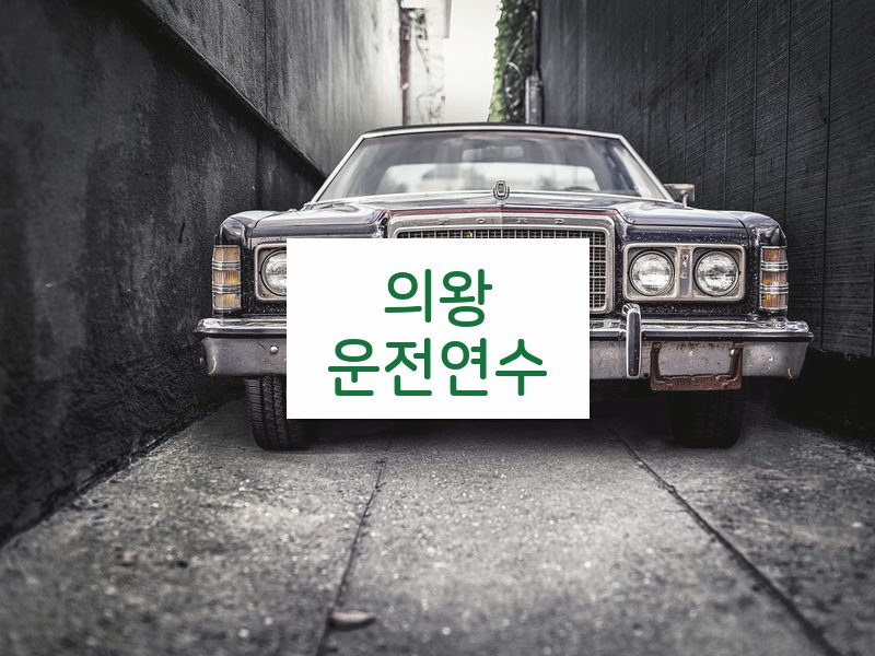 의왕운전연수 후기