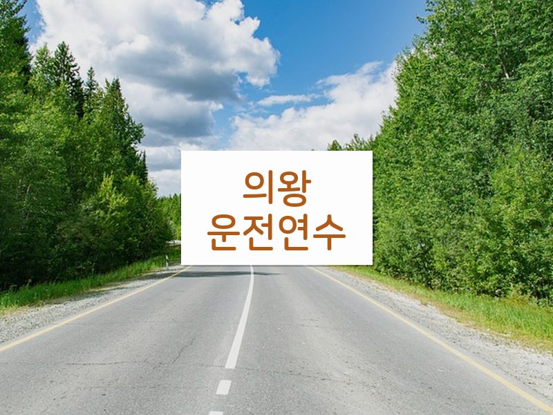 의왕운전연수 후기