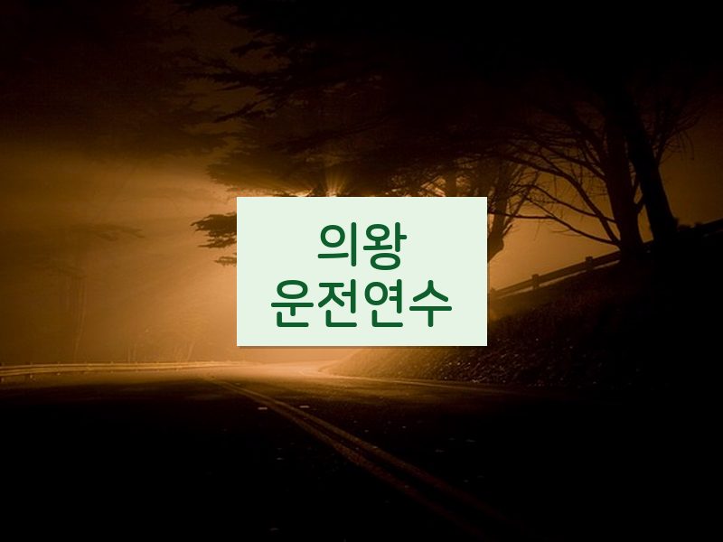 의왕운전연수 후기