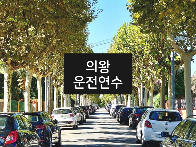 의왕운전연수 후기