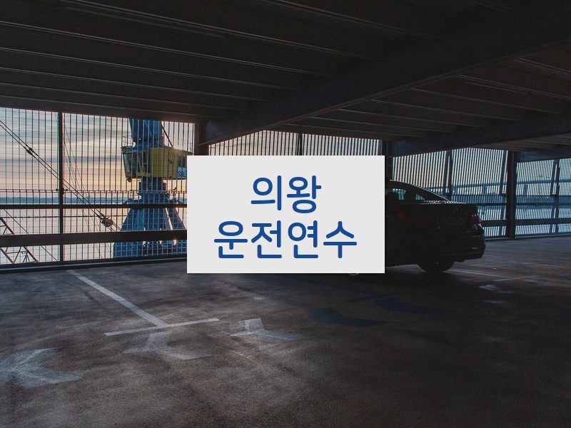 의왕운전연수 후기