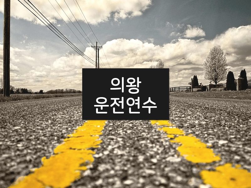 의왕운전연수 후기