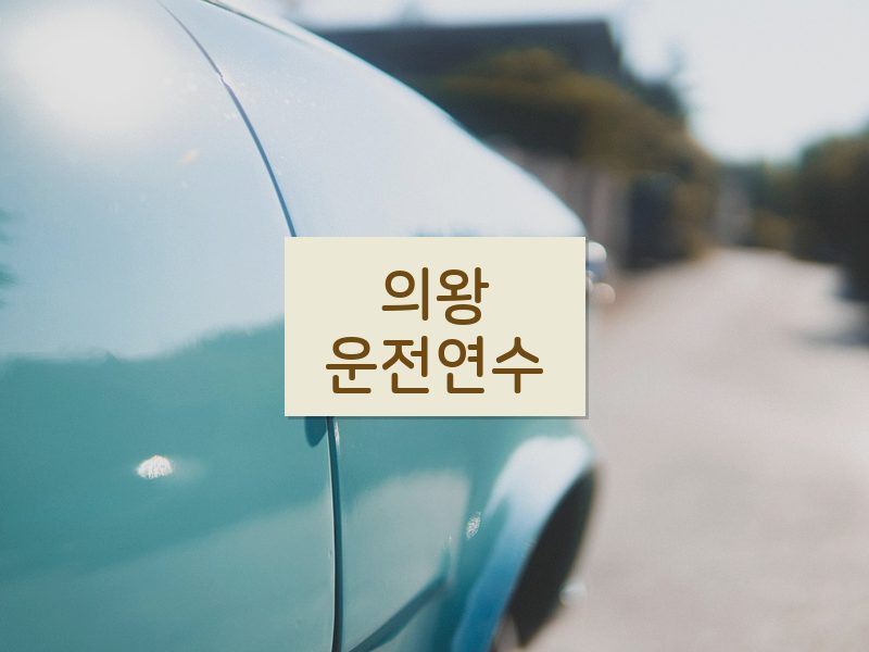 의왕운전연수 후기