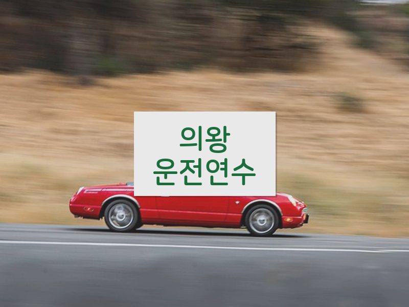의왕운전연수 후기