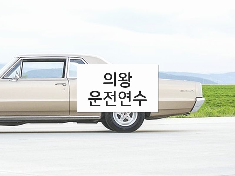 의왕운전연수 후기
