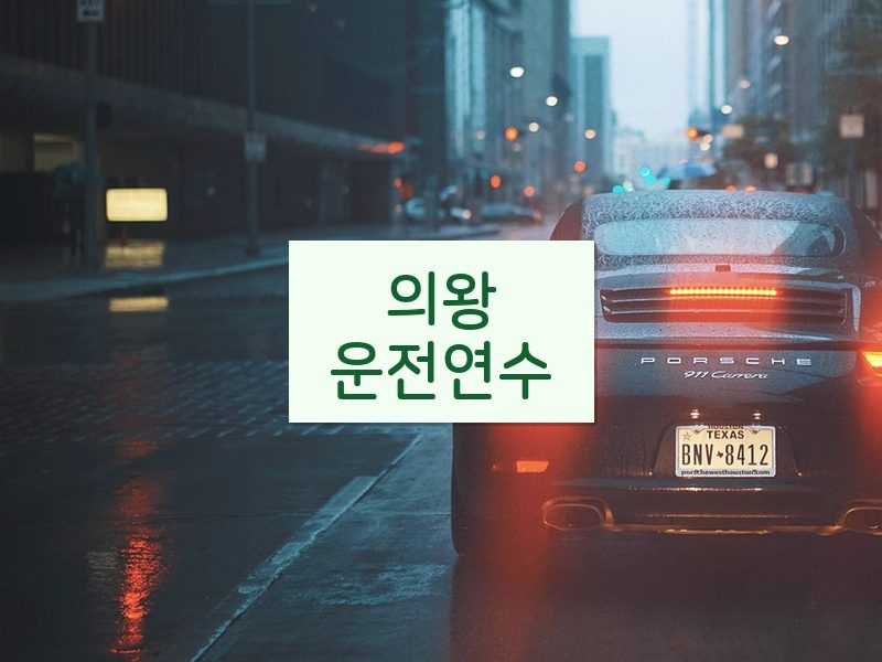 의왕운전연수 후기