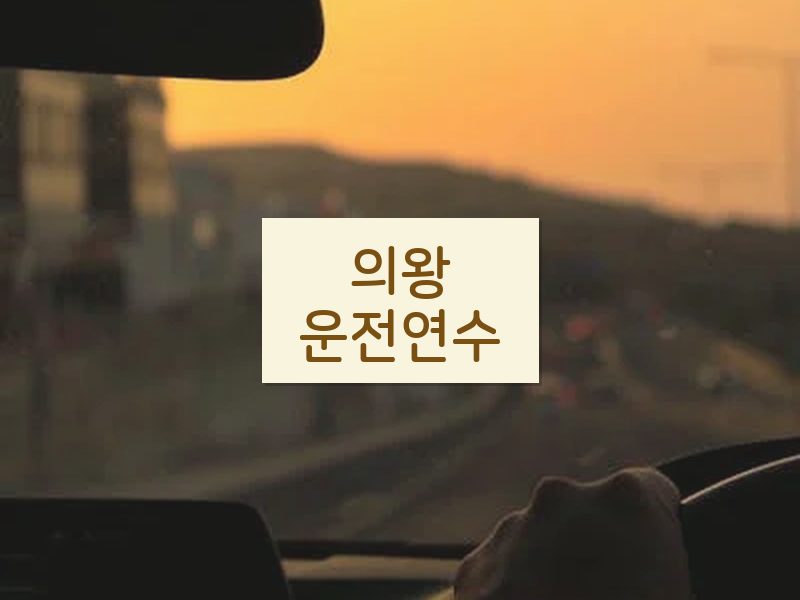 의왕운전연수 후기