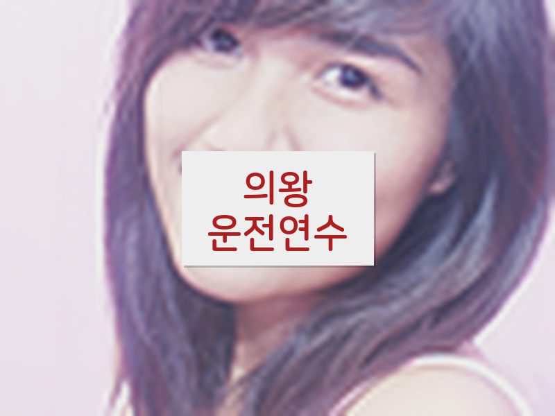 의왕운전연수 후기