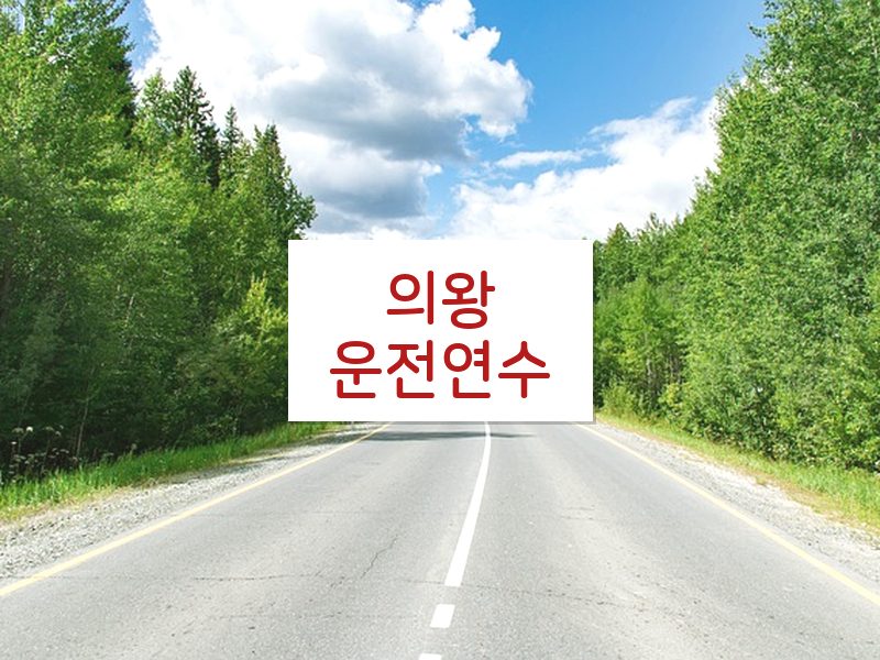 의왕운전연수 후기