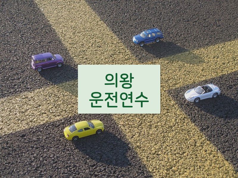 의왕운전연수 후기