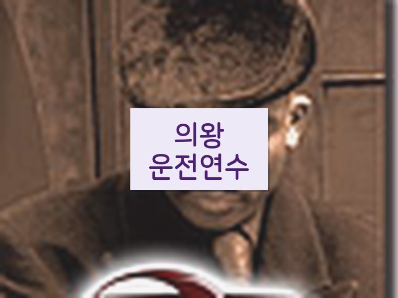 의왕운전연수 후기