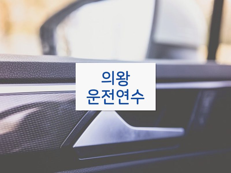 의왕운전연수 후기