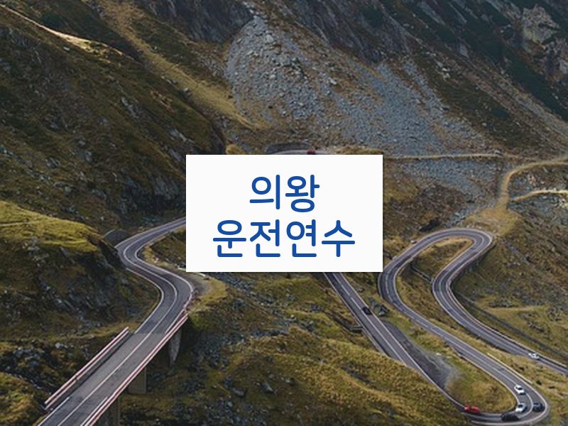 의왕운전연수 후기