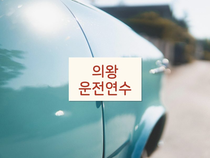의왕운전연수 후기