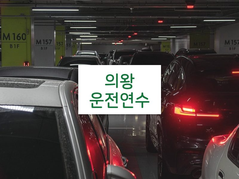 의왕운전연수 후기