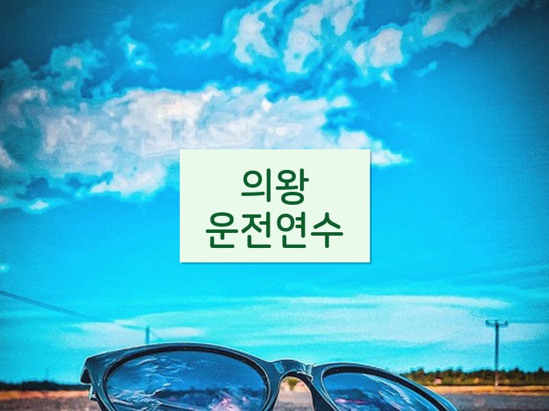 의왕운전연수 후기