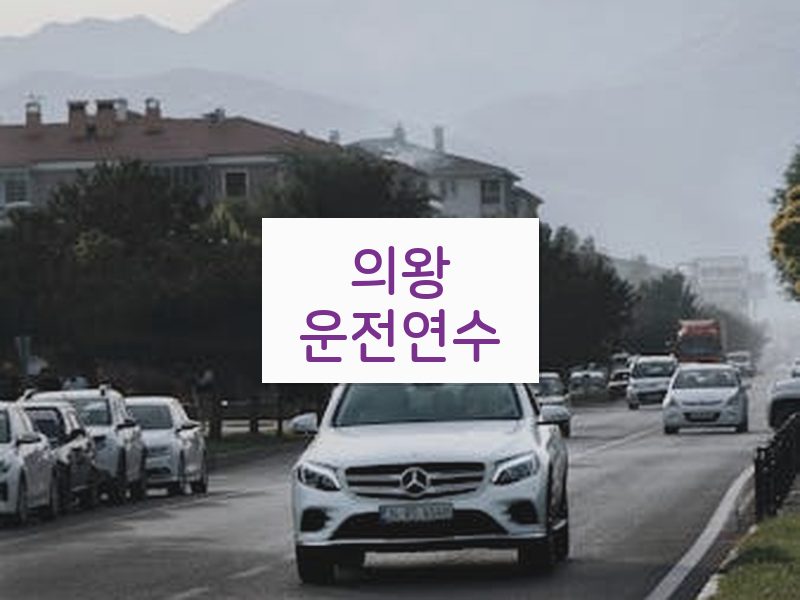 의왕운전연수 후기