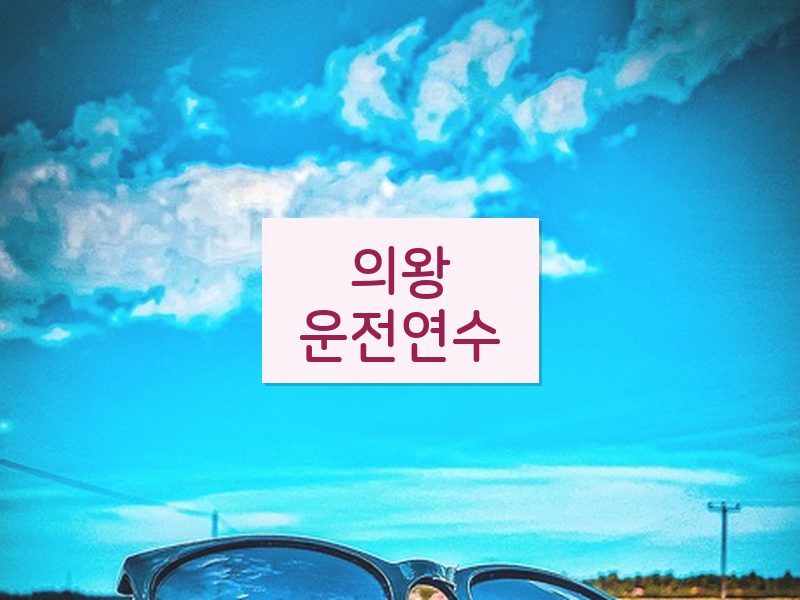 의왕운전연수 후기