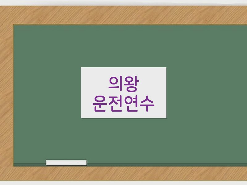 의왕운전연수 후기