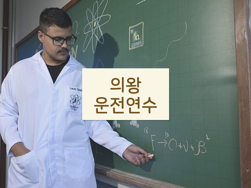 의왕운전연수 후기