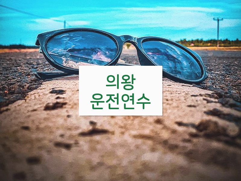 의왕운전연수 후기