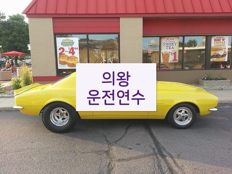 의왕운전연수 후기