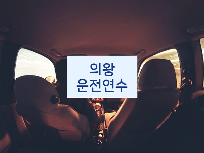 의왕운전연수 후기