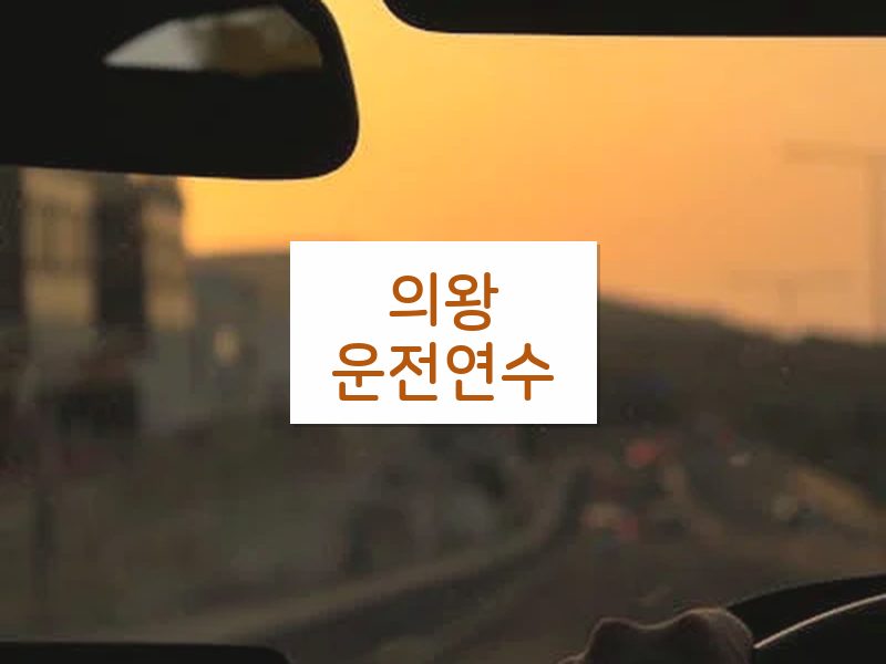 의왕운전연수 후기