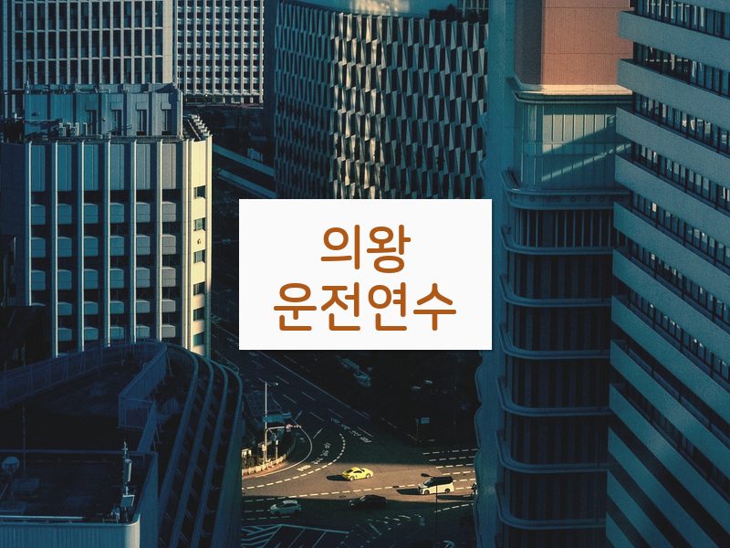 의왕운전연수 후기