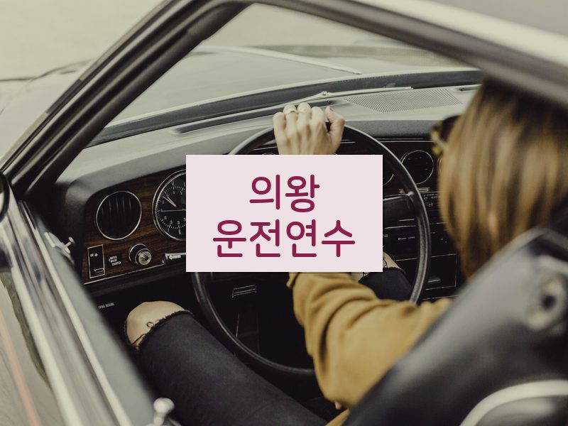 의왕운전연수 후기
