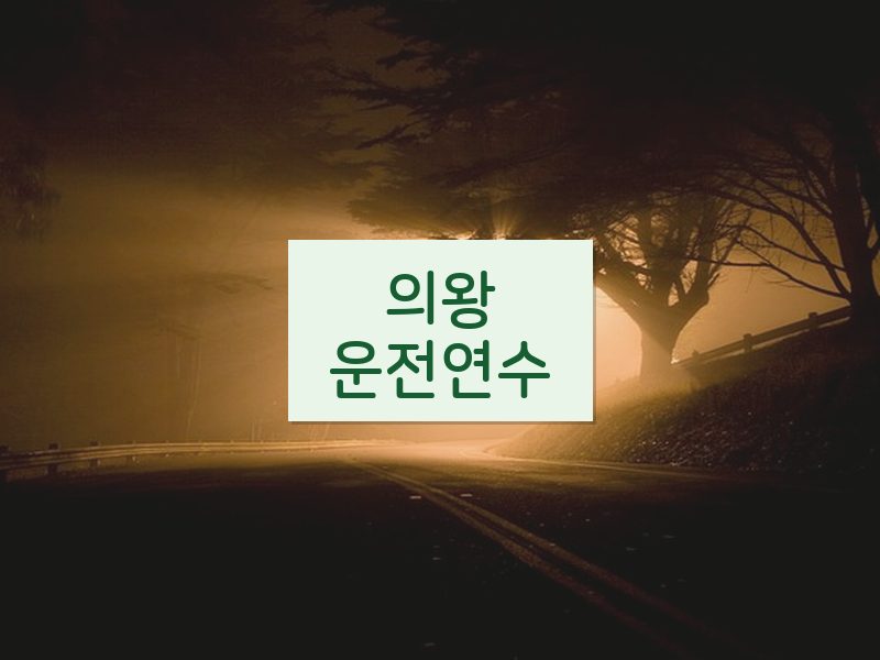 의왕운전연수 후기