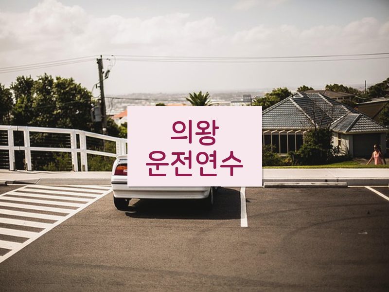 의왕운전연수 후기