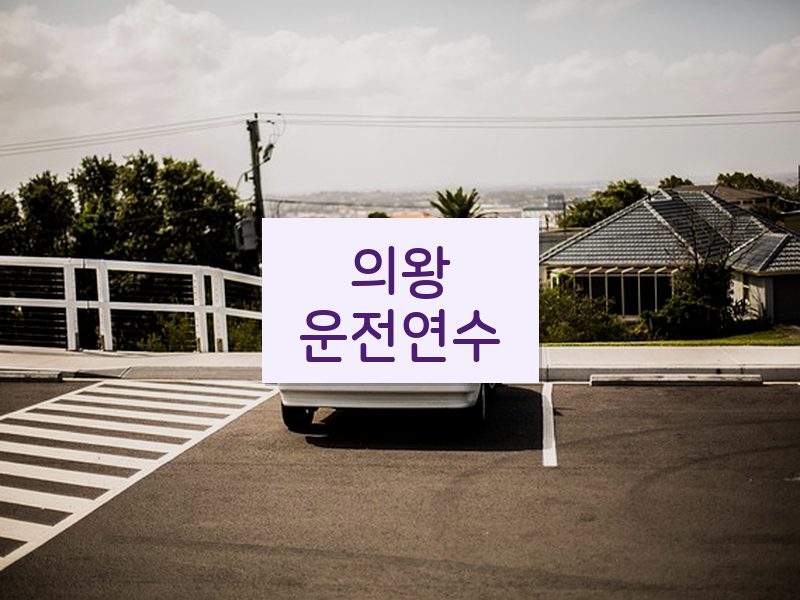 의왕운전연수 후기
