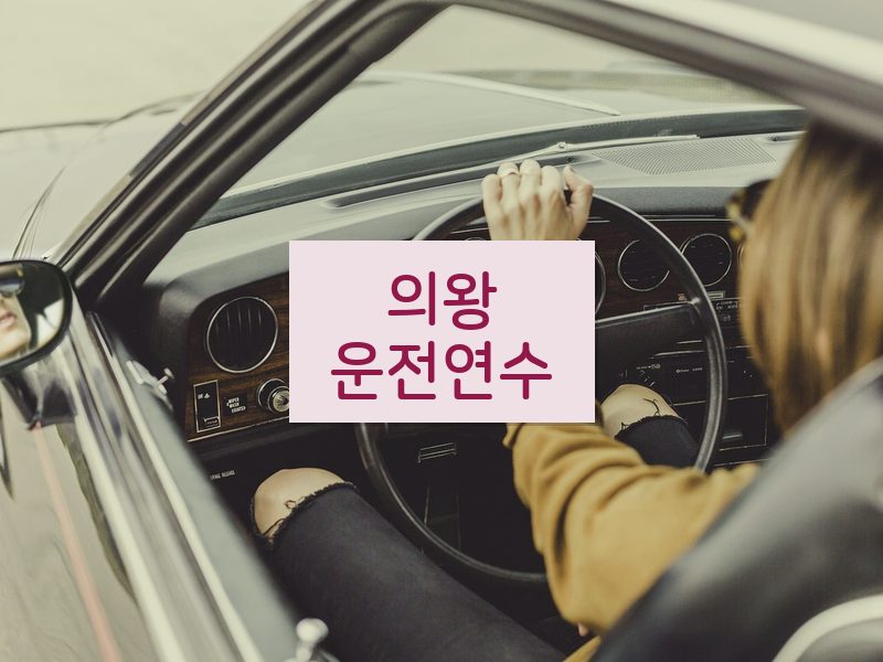 의왕운전연수 후기