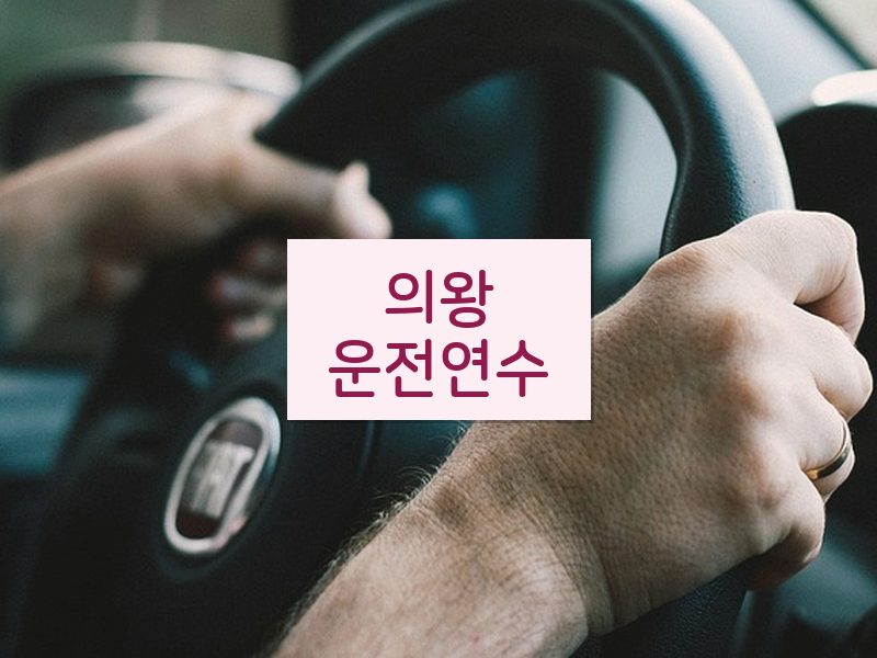 의왕운전연수 후기