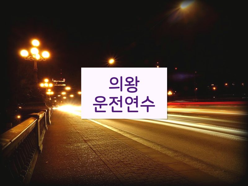 의왕운전연수 후기